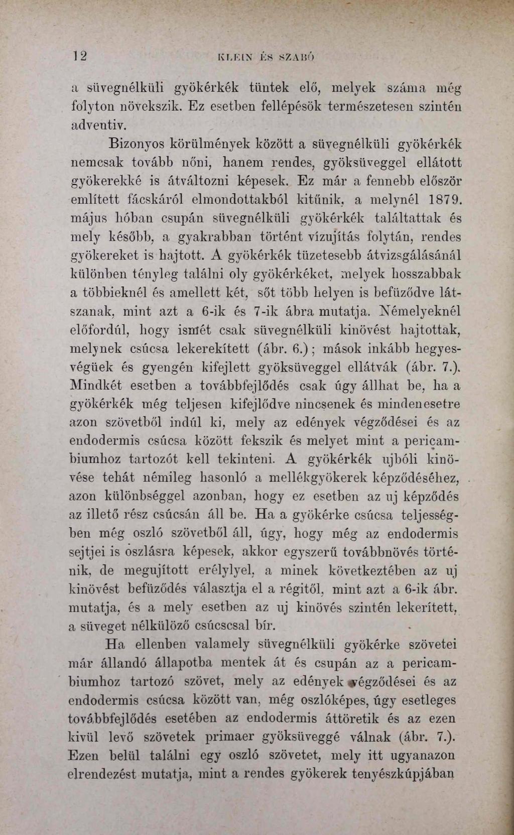 12 KLEIN ÉS SZABÓ a süvegnélküli gyökérkék tűntek elő, melyek száma még folyton növekszik. Ez esetben fellépésök természetesen szintén adventiv.