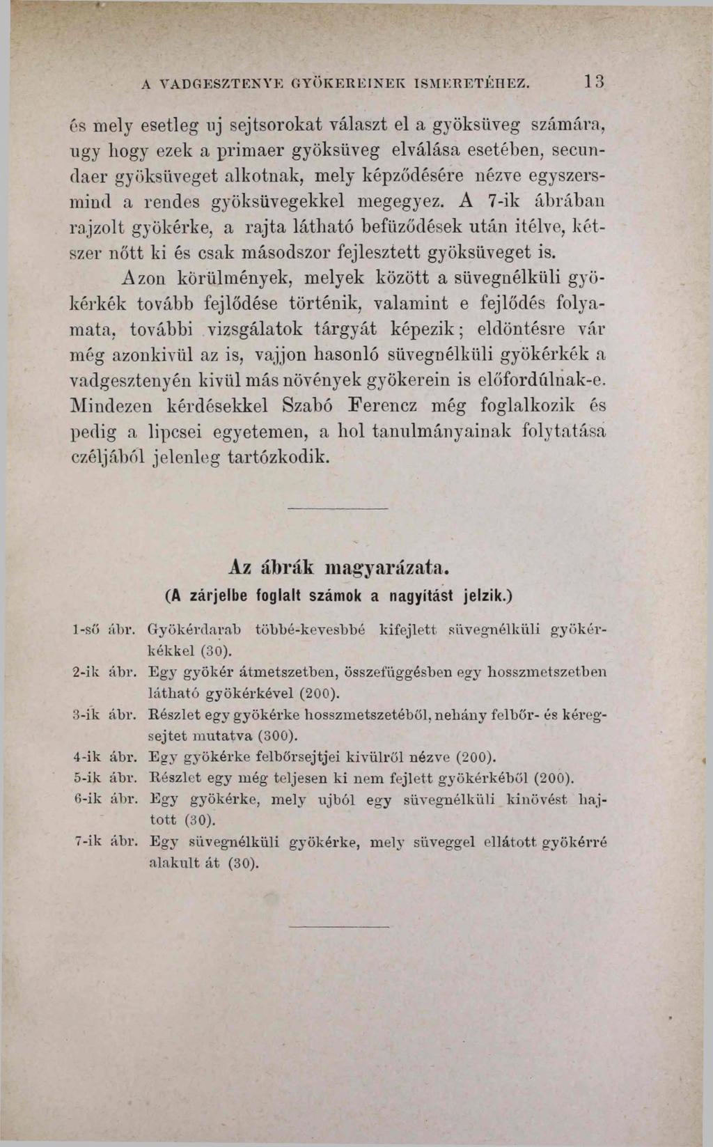 A VADGESZTENYE GYÖKEREINEK ISMERETÉHEZ.