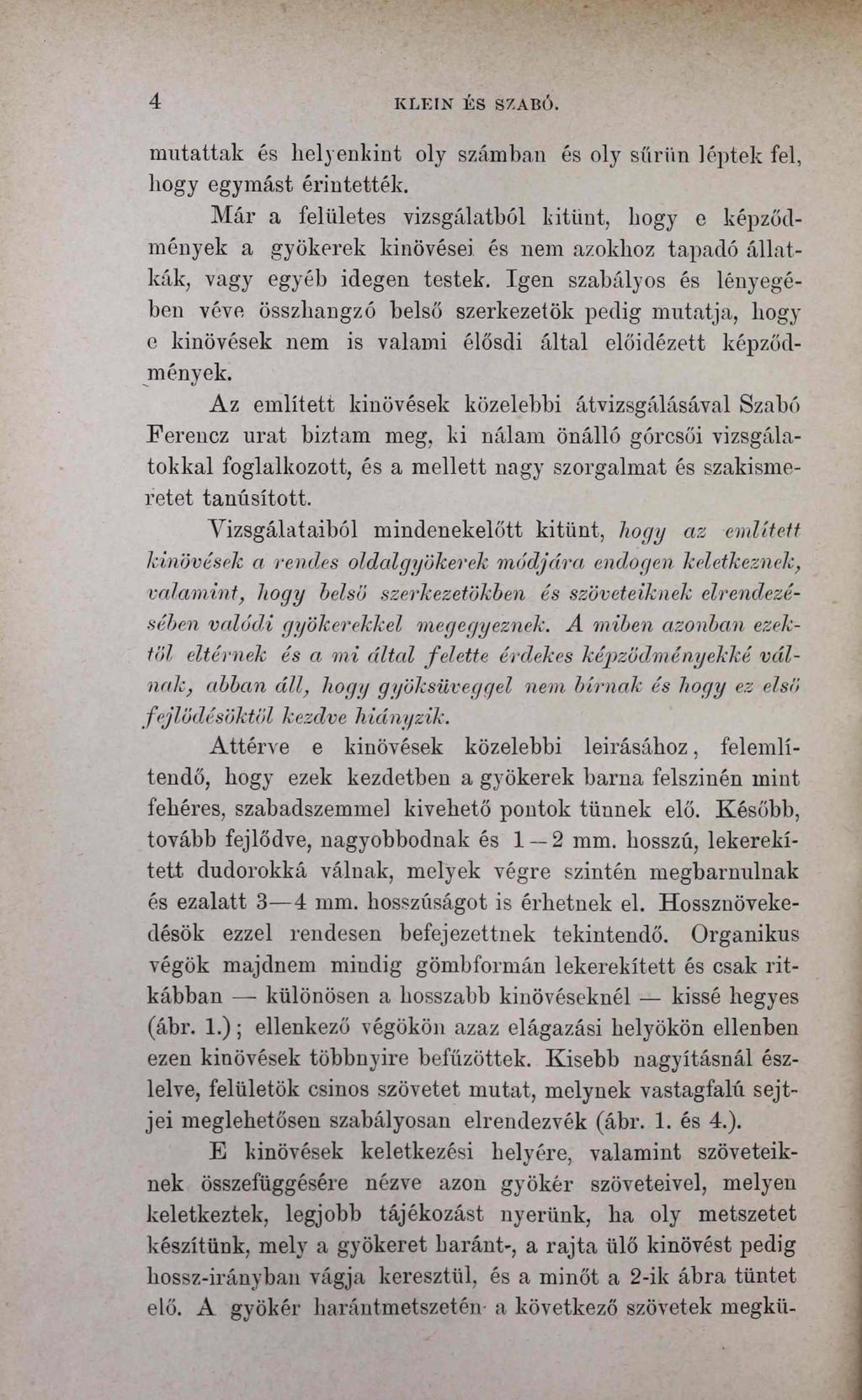 4 KLEIN ÉS SZABÓ. mutattak és lielyenkint oly számban és oly sűriin léptek fel, hogy egymást érintették.
