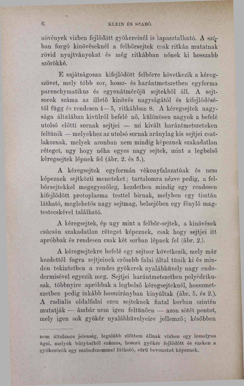 G KLEIN ÉS SZABÓ. növények vizben fejlődött gyökereinél is tapasztalható.