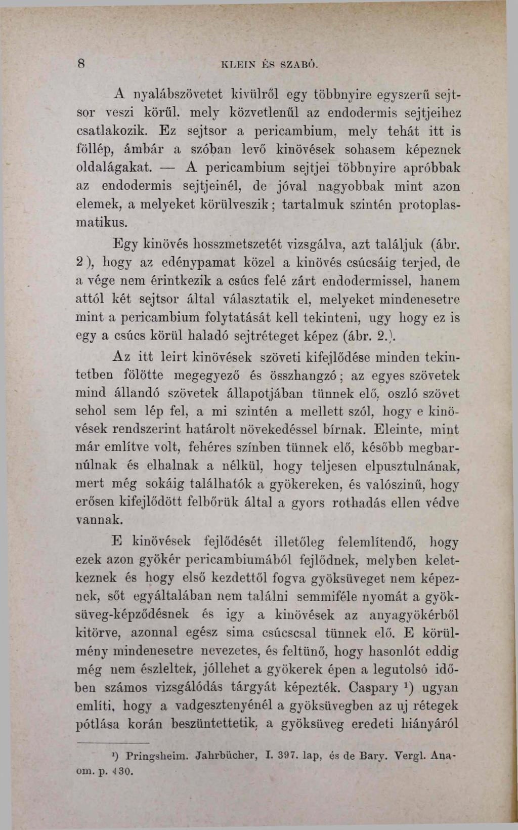 8 KLEIN ÉS SZABÓ. A nyalábszövetet kívülről egy többnyire egyszerű sejtsor veszi körül, mely közvetlenül az endodermis sejtjeihez csatlakozik.