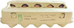 Ft/kg 299 Ft -50 Ft 249 Ft TUTI