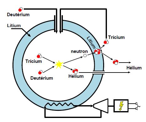 mellett keletkez semleges neutron gyengén hat kölcsön a plazmával, a berendezés köpenynek nevezett részében adja le az energiáját, melyet speciálisan erre a célra alakítottak ki. Az 1.