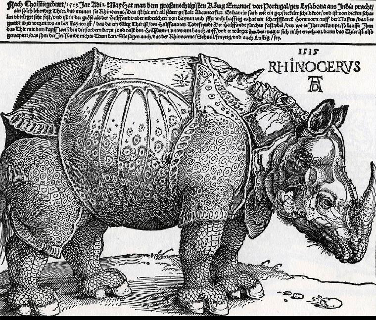 Albrecht Dürer: A rinocérosz,