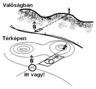 Tájékozódás Oldal-, és hátrametszés: Tudod az oldalmetszést, és hogy mire való. Ismered a hátrametszést, és hogy mire való.