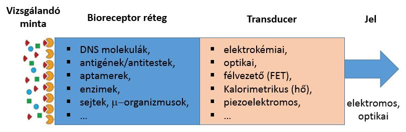 Szakirodalmi áttekintés 2 Szakirodalmi áttekintés Ebben a fejezetben bemutatásra kerülnek a kutatási téma igen kiterjedt szakirodalmának azon részterületei, amelyek ismertetése feltétlenül szükséges