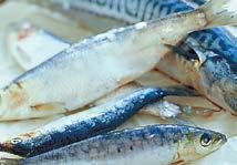 , egyedileg csomagolt Hekktörzs 1 X, glazúr nélk., egyedileg csomagolt /interfóliás 5% 200-350 g öml. cca.