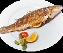 glazúr 170-230 g ömlesztett 5kg 5% Fogasfilé, 10% glazúr, 230-300 g Fogasfilé, 10% glazúr
