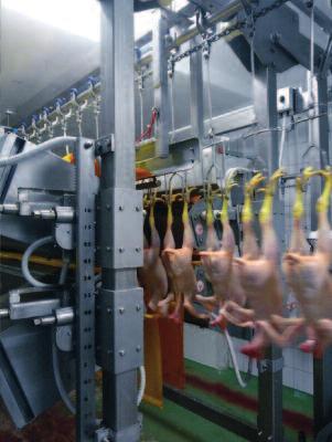 Know-how és technológiák: Gépeik gyártását az Európai Unió műszaki biztonsági irányelveiben megadottak, valamint a higiéniai követelményeknek