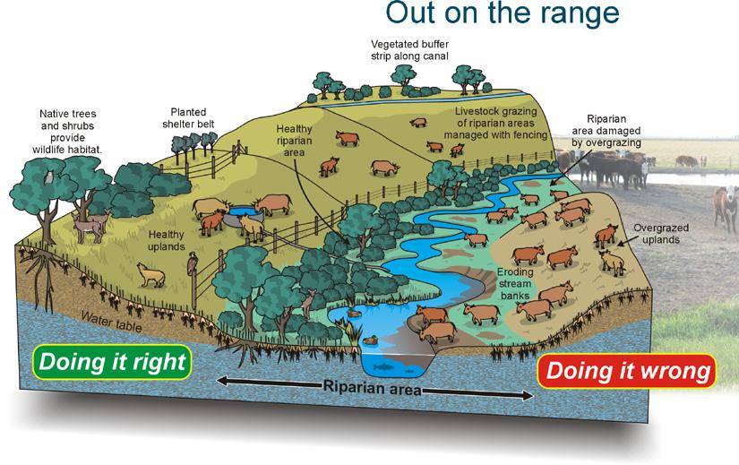 http://www.thebowriver.