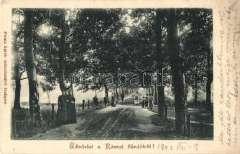 Mári aremete, kegykép, flora
