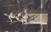 T2 1600 20261.