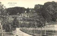 Infirmary, hospital (fro