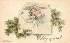 Emb. litho T2 3000 22687.