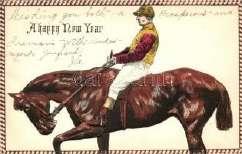 New Year, sleigh ing, Amag