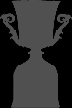 competitions that add to our team s