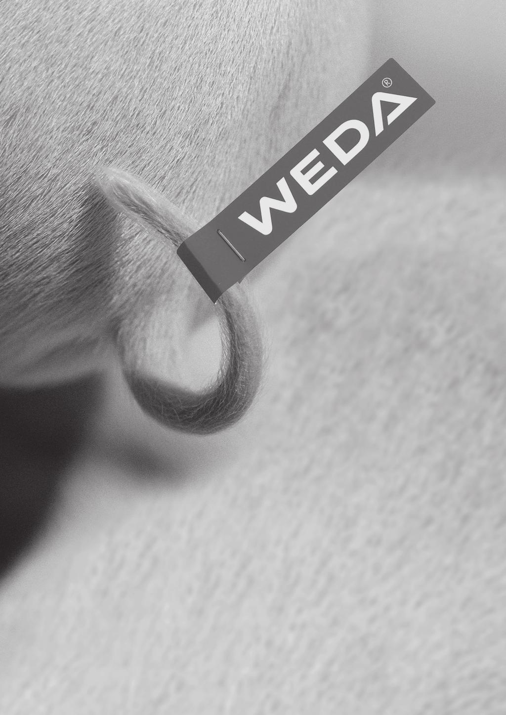 www.weda.