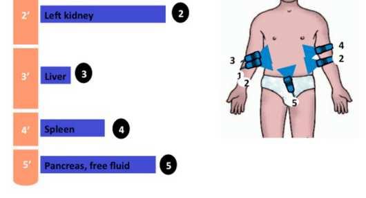 Ultrasound (CEUS) in the