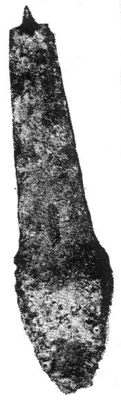 123