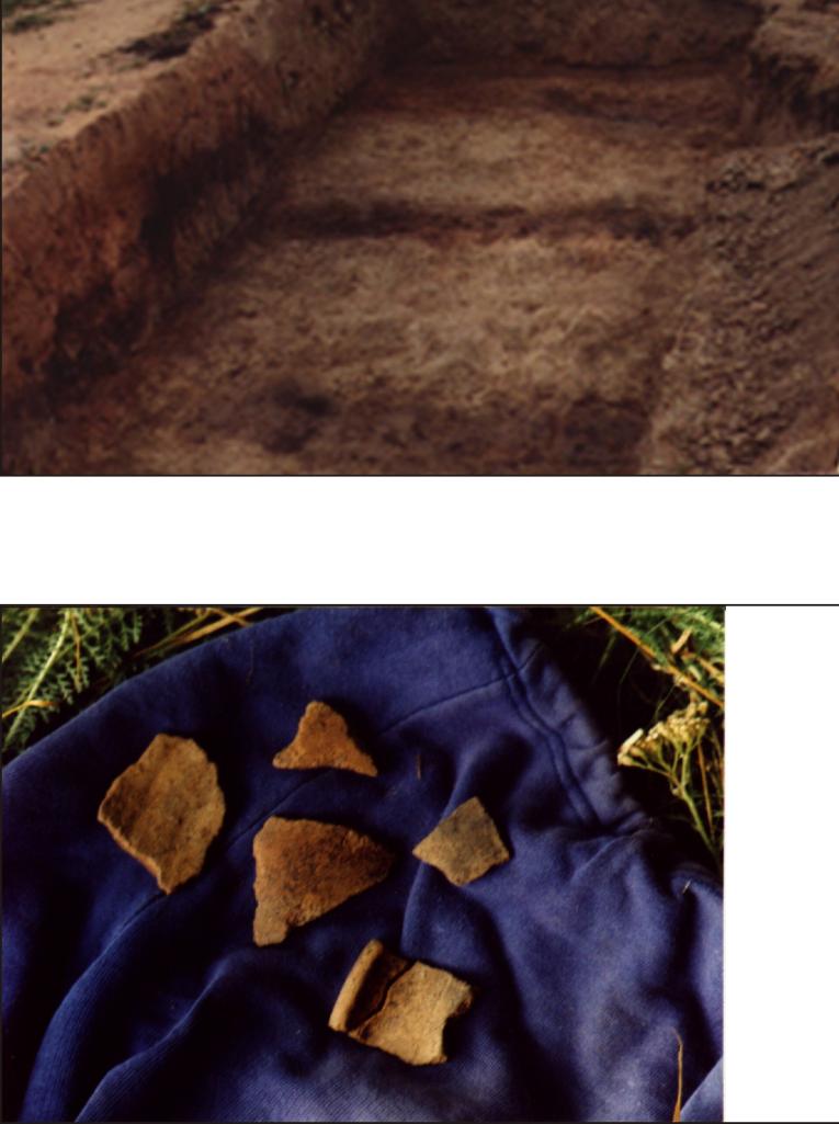 2. ábra Rekeszes-gerendavázas szerkezet nyomai az 1997. évi 3.
