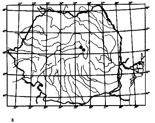 98 Fig.