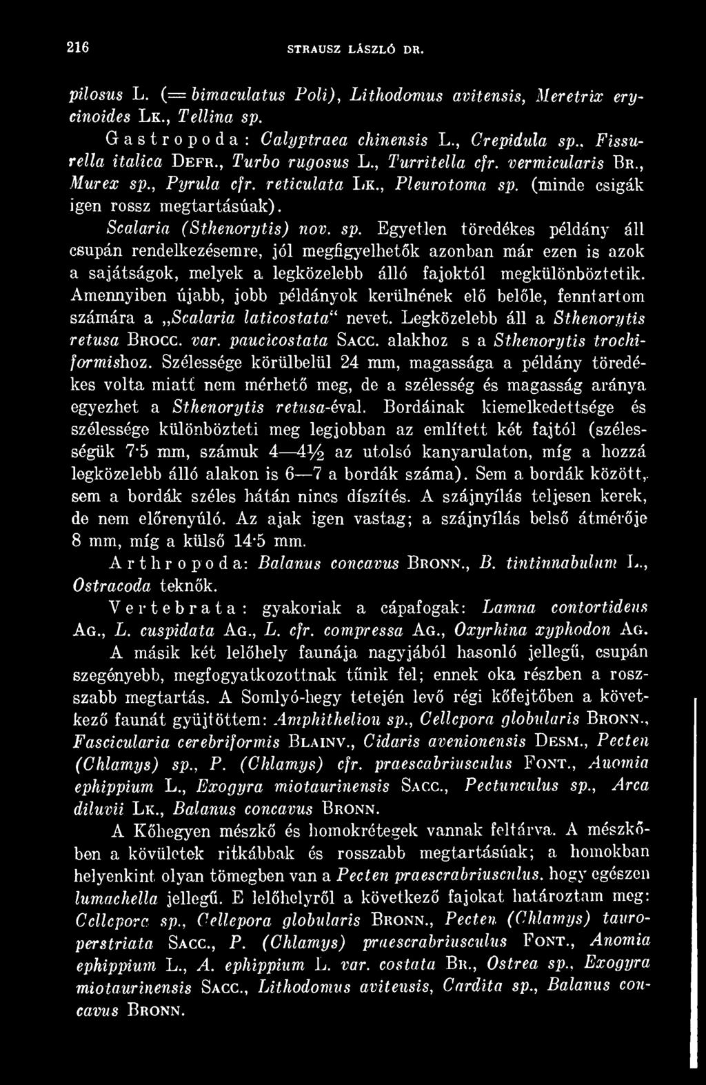 Egyetlen töredékes példány áll csupán rendelkezésemre, jól megfigyelhetk azonban már ezen is azok a sajátságok, melyek a legközelebb álló fajoktól megkülönböztetik.