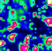 0 0.8 0 0.6 0.4 0 0.6 0.4 500-500 100 µm 0.