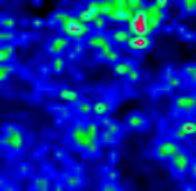 6 0.4 0 0.6 0.4 500 100 µm 0.2 0.