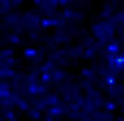 -500 Hidrogénezett ricinusolaj A készítmény 10, 40 µm A készítmény 50, 40 µm 1.0-500 0.8 1.0 0.8 0 0.6 0.4 0 0.6 0.4 500 100 µm 0.2 0.0 500 100 µm 0.2 0.0 0 0 4.1.5. ábra: Az összetevők becsült eloszlástérképei 4.