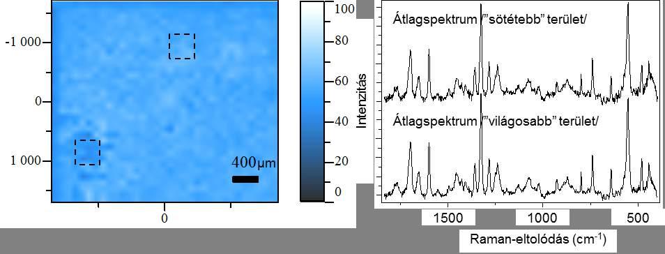 volt. Ezután megvizsgáltuk az említett sötétebb területet. Öt-öt spektrumot választottunk ki a 4.4.7. ábrán szaggatott vonalakkal jelzett régiókból.