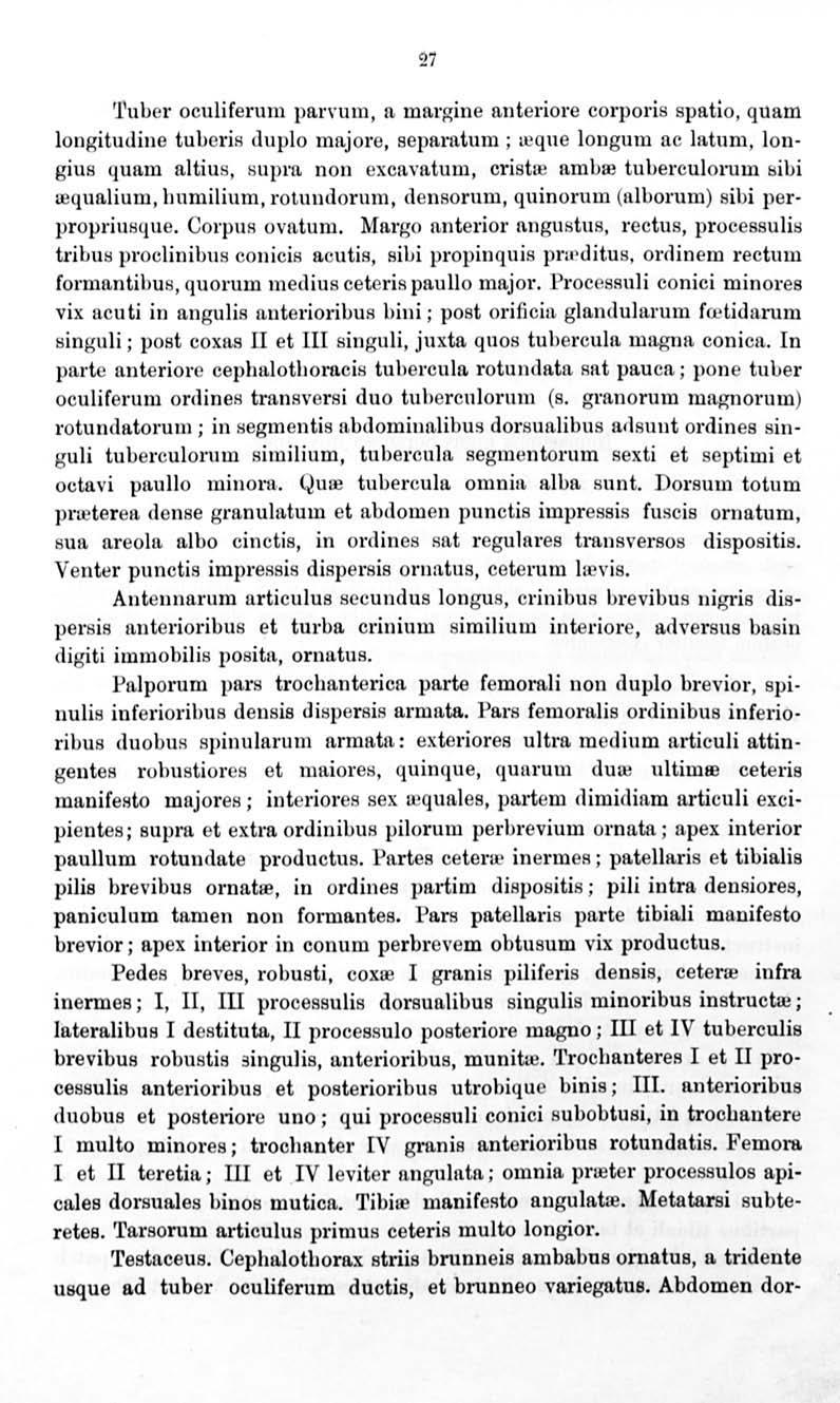27 'l 1 ubcr oculiferum parrum, a mo.rgine n.nteri01 e corporis spatio, quam longitutline tubm is <luplo majore, scparatum ; t.eqne longuru ac ln.