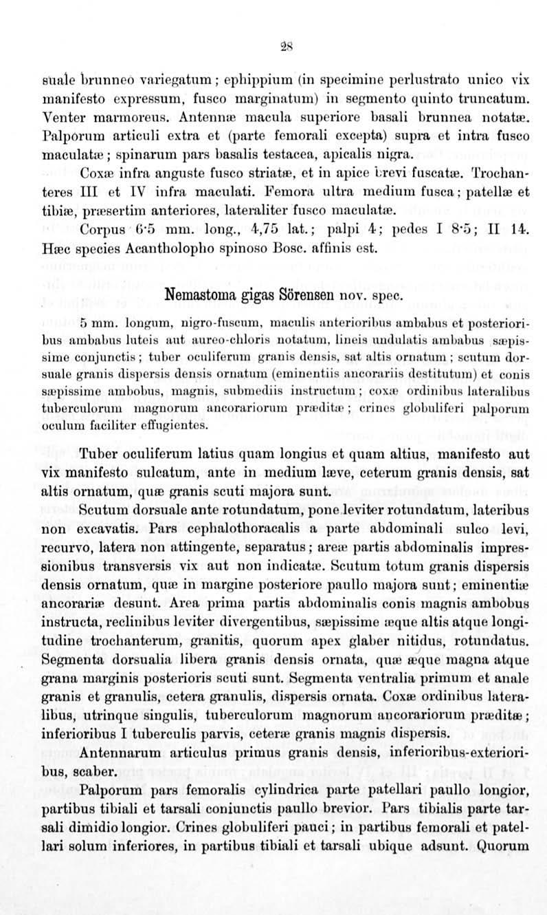 2 snale br11nneo vnriegntt1m ; ephippium (in SJJec imine perlnstrnto u nico vix manifesto expressum, fusco marginatum) in segmento quinto tmncatum. Venter mnl'moreus.