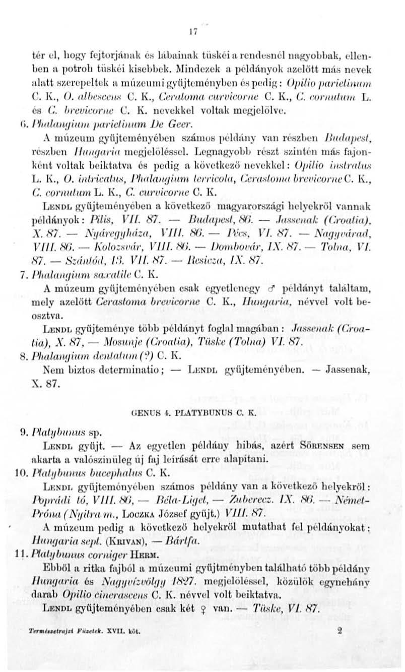 l í tér cl, hogy fcjtorj(wlll< és b ibain ~t l< tu ~:~ l<é i IL rendesnél nugyollmk, cllcnben ll potroll tlisl<6i l\ischl.jck. Mi thl o ~ c l< IL pcldinyol< nzclölt m:í.s nevel< ai:ltt sr.