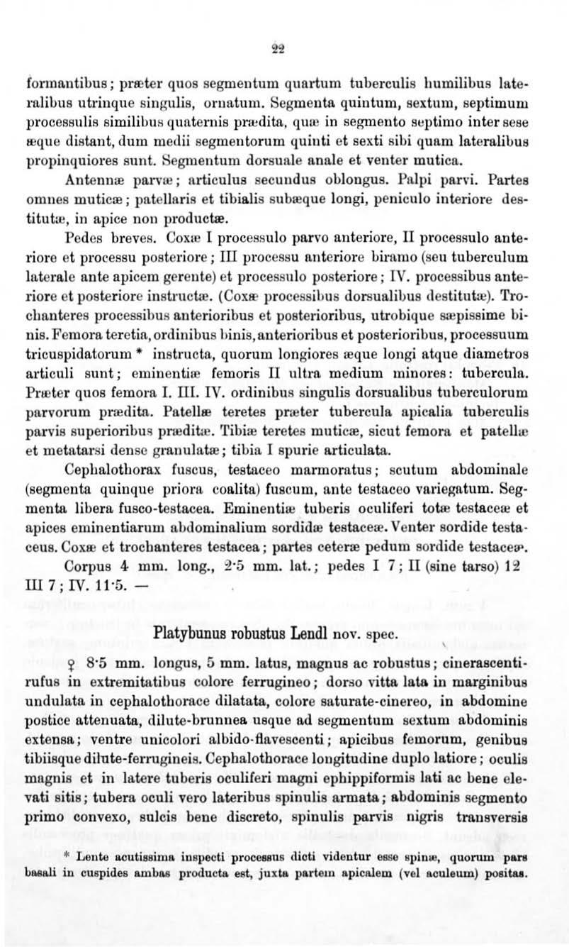 formantibus; prreter quos segmenturu qunrtum tuberenlis humilibus lateralibus utrinque singulis, oruatum. Segmento.