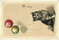 4000 23291. Cat gardeners.