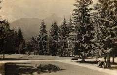 Pleso / lake T21200 21883.