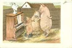 1899 Pig pianist, humour,