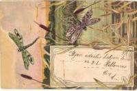 parrot, humour T2 2000
