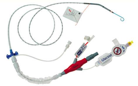 Impella 2.