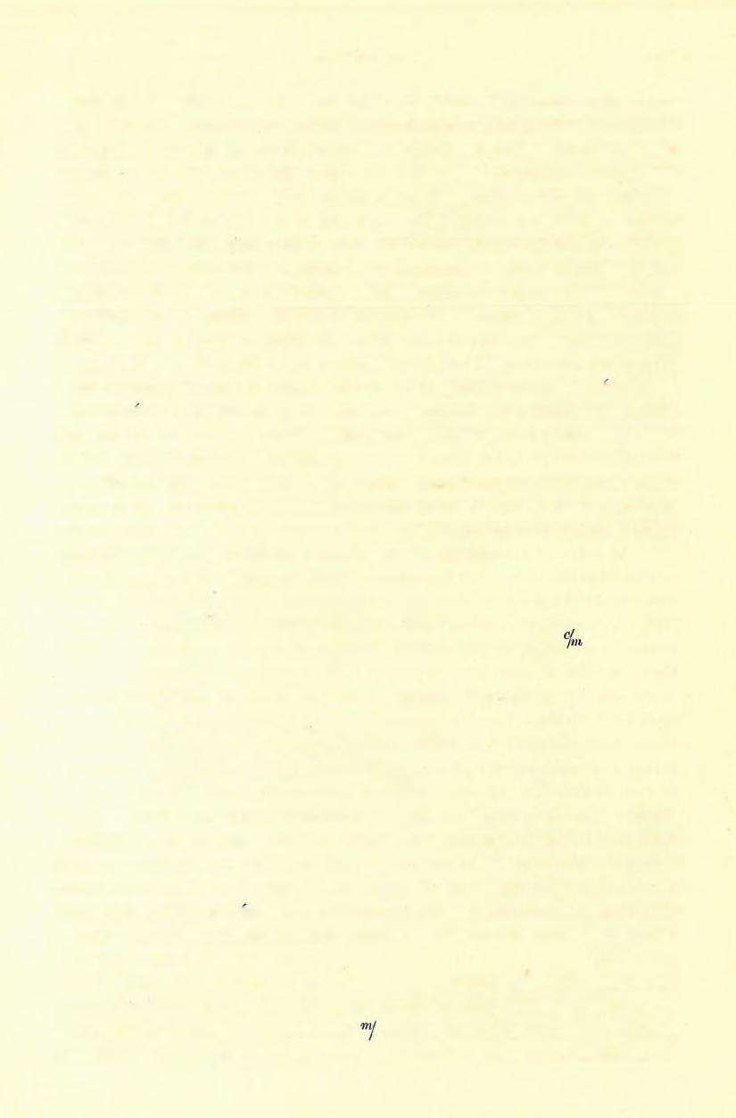 (5) FELVÉTELI JELENTÉS. 169 szárazföldi csigákat tartalmaz, még pedig löszben is előforduló helix, pupa, clausilia stb.