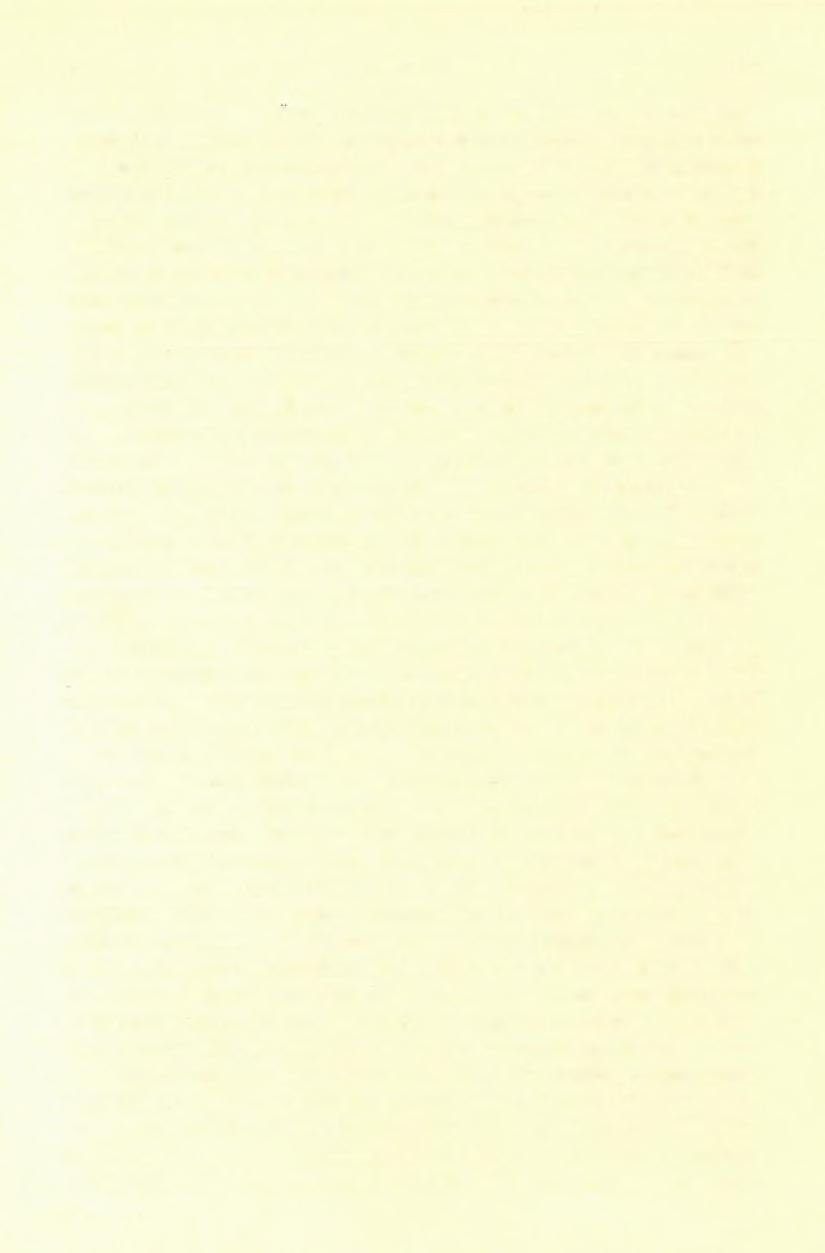 (7) FELVÉTELI JELENTÉS. 171 n. m.