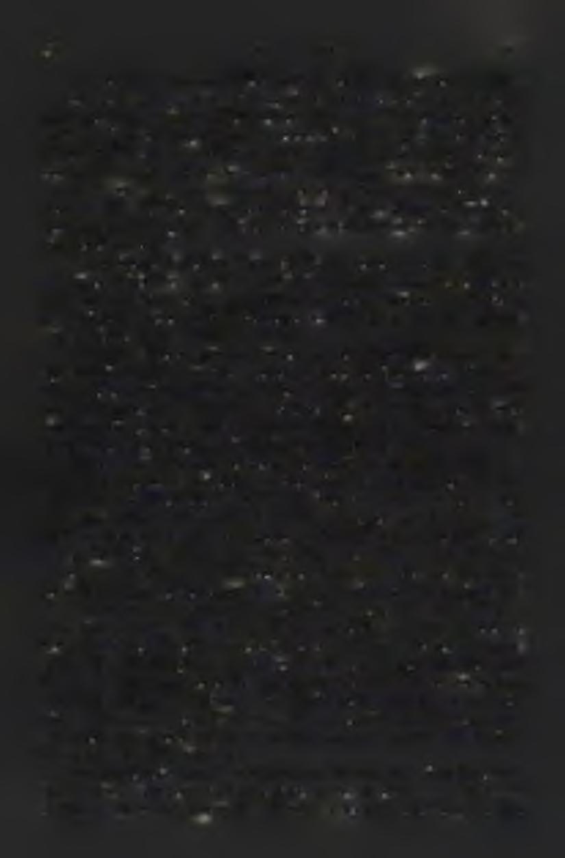 tekintsem.
