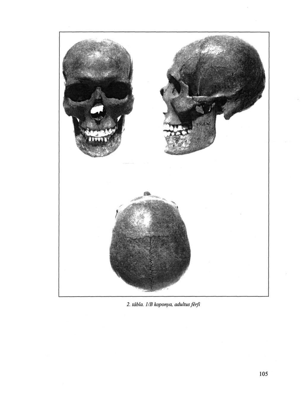 2. tábla.