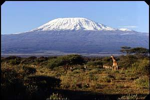 például a Ruwenzori vagy a Kilimandzsáró.
