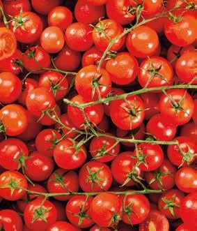 MAGYAR TERMÉK /kg -33% 299 MAGYAR TERMÉK 750 g -25% 399 2 FÜRTÖS PARADICSOM 198 LECSÓPAPRIKA 1 kg = 399