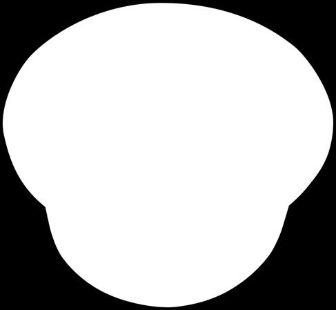 SZELETEK Gyorspácolt, főtt 1 kg = 2 245 200 g -18%