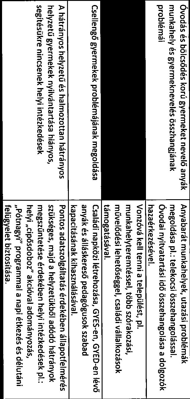 Óvodás és bölcsődés korú gyermeket nevelő anyák munkahely és gyermeknevelés összhangjának problémái Fiatalok elvándorlása Csellengő gyermekek problémájának megoldása A hátrányos helyzetű és