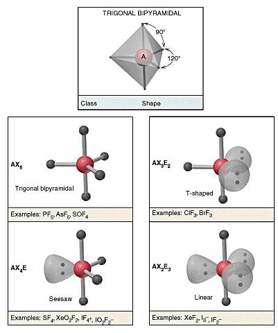 VSEPR II