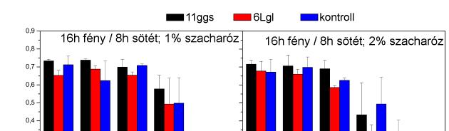 A nagyobb exogén szacharóz adagolás a GST aktivitás indukcióján keresztül eredményesebb paraquat detoxifikációhoz vezet a nyár levélkorongokban. (A) (B) 8. ábra.