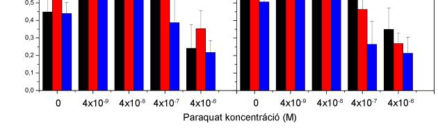 (B) A klorofill a és klorofill b tartalom változása a klorofill fluoreszcencia F 690 /F 735 mérőszámával jellemezve a különböző koncentrációjú paraquatot tartalmazó WPM táptalajon tenyésztett P.